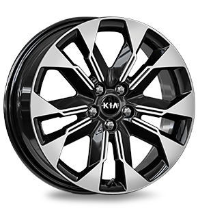 235/55R  Alloy Wheel 