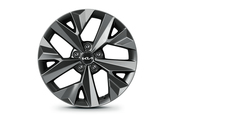 18-inch alloy wheel (B-Type)