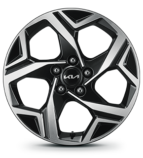 17-inch alloy wheel