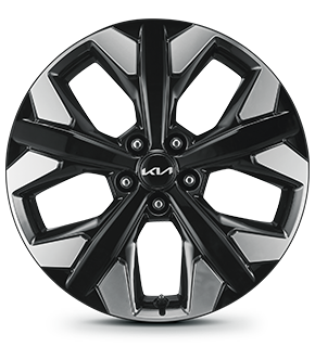 19-inch alloy wheel (for X-Line only)